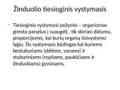Individualus organizmų vystymasis 12 puslapis
