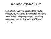 Individualus organizmų vystymasis 3 puslapis