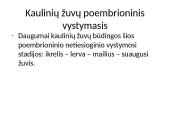 Individualus organizmų vystymasis 10 puslapis