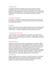 Politologijos temos glaustai 2 puslapis