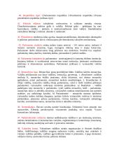Politologijos temos glaustai 8 puslapis