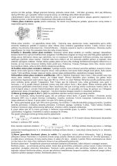 Urbanistika 2 puslapis