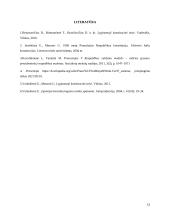 Ispanijos ir Prancūzijos įstatymų leidžiamosios valdžios 11 puslapis