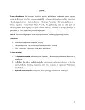 Ispanijos ir Prancūzijos įstatymų leidžiamosios valdžios 2 puslapis