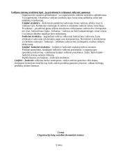 Vadybos informacija egzamino temoms 2 puslapis