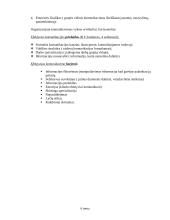 Vadybos informacija egzamino temoms 13 puslapis