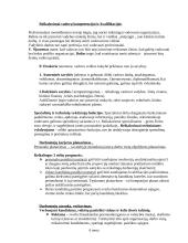 Vadybos informacija egzamino temoms 19 puslapis