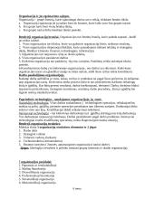 Vadybos informacija egzamino temoms 3 puslapis