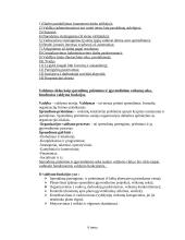 Vadybos informacija egzamino temoms 7 puslapis