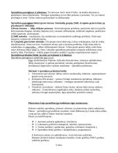 Vadybos informacija egzamino temoms 8 puslapis