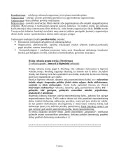 Vadybos informacija egzamino temoms 10 puslapis