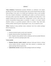 Nužudymas peržengiant būtinosios ginties ribas teismų praktikoje 2 puslapis