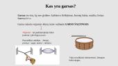 Kaip išgauti garsą? 3 puslapis