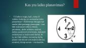 Laiko planavimas (skaidrės) 4 puslapis