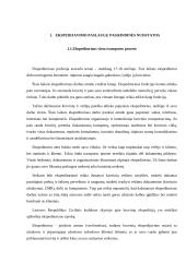 Ekspedijavimo paslaugų pagrindinės nuostatos 3 puslapis