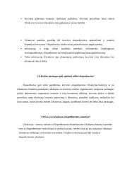 Ekspedijavimo paslaugų pagrindinės nuostatos 6 puslapis