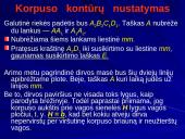 Plūgo korpuso kontūrų nustatymas 9 puslapis