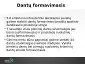 Vaikų odontologijos principai. Ortodontinis gydymas. Dantų vystymasis bei dygimas 3 puslapis