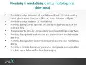 Vaikų odontologijos principai. Ortodontinis gydymas. Dantų vystymasis bei dygimas 4 puslapis