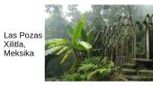 Meksika. Las pozas 16 puslapis