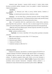 Ekonometrijos darbai 4 puslapis