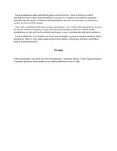 Darbo pasidalijimo ypatumai 3 puslapis