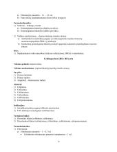 Antibiotikai (konspektas) 13 puslapis