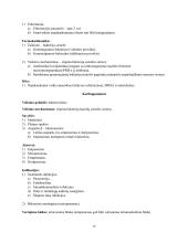 Antibiotikai (konspektas) 15 puslapis