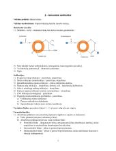 Antibiotikai (konspektas) 3 puslapis