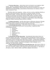 Elektronikos praktiniai darbai 2 puslapis