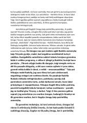 Kodėl žmogui svarbu turėti autoritetą? 2 puslapis