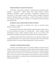 Nelytinis ir lytinis dauginimasis. Referatas 10 puslapis