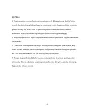 Nelytinis ir lytinis dauginimasis. Referatas 11 puslapis