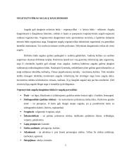 Nelytinis ir lytinis dauginimasis. Referatas 4 puslapis