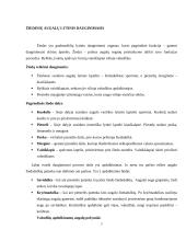 Nelytinis ir lytinis dauginimasis. Referatas 6 puslapis