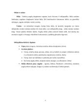 Nelytinis ir lytinis dauginimasis. Referatas 8 puslapis