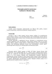 Entropijos pokyčio nustatymas kaitinant ir išlydant kūną