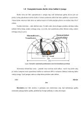 Ergonomiškos darbo vietos projektavimas 9 puslapis