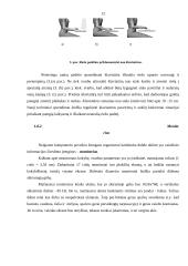 Ergonomiškos darbo vietos projektavimas 10 puslapis
