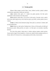 Ergonomiškos darbo vietos projektavimas 13 puslapis