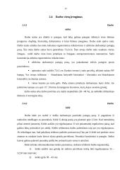Ergonomiškos darbo vietos projektavimas 15 puslapis