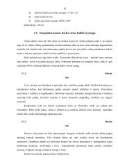 Ergonomiškos darbo vietos projektavimas 16 puslapis