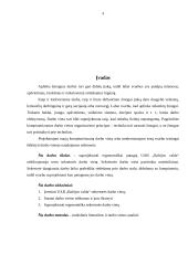 Ergonomiškos darbo vietos projektavimas 2 puslapis