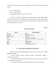 Ergonomiškos darbo vietos projektavimas 5 puslapis