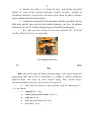 Ergonomiškos darbo vietos projektavimas 8 puslapis