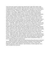 Kaip literatūroje vaizduojami lietuviai 2 puslapis