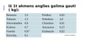 Akmens anglys 16 puslapis