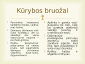 Jonas Biliūnas. Kūrybos pristatymas 2 puslapis