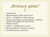 Jonas Biliūnas. Kūrybos pristatymas 8 puslapis