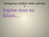 Skaidrės. Mykoliuko paveikslas 16 puslapis